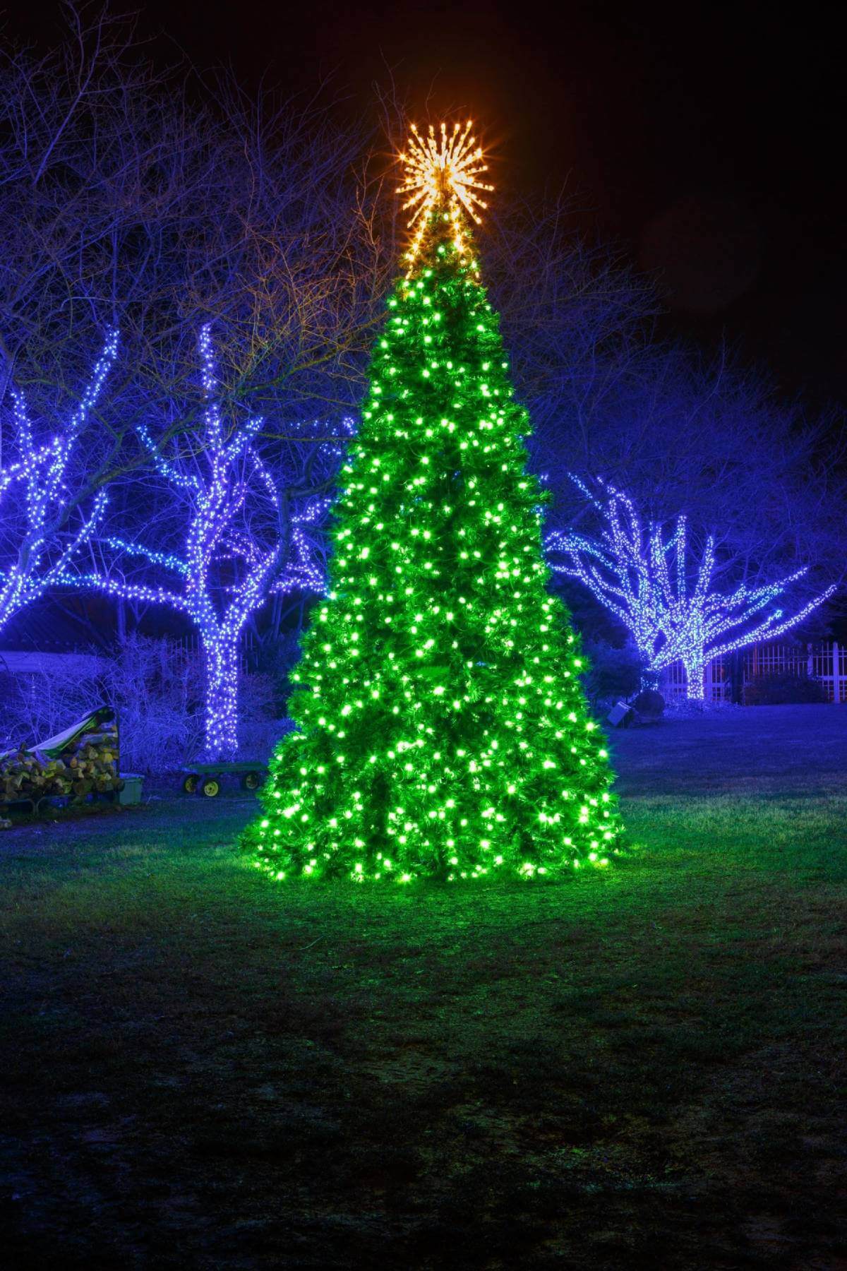 Pine tree decorated with green lights.