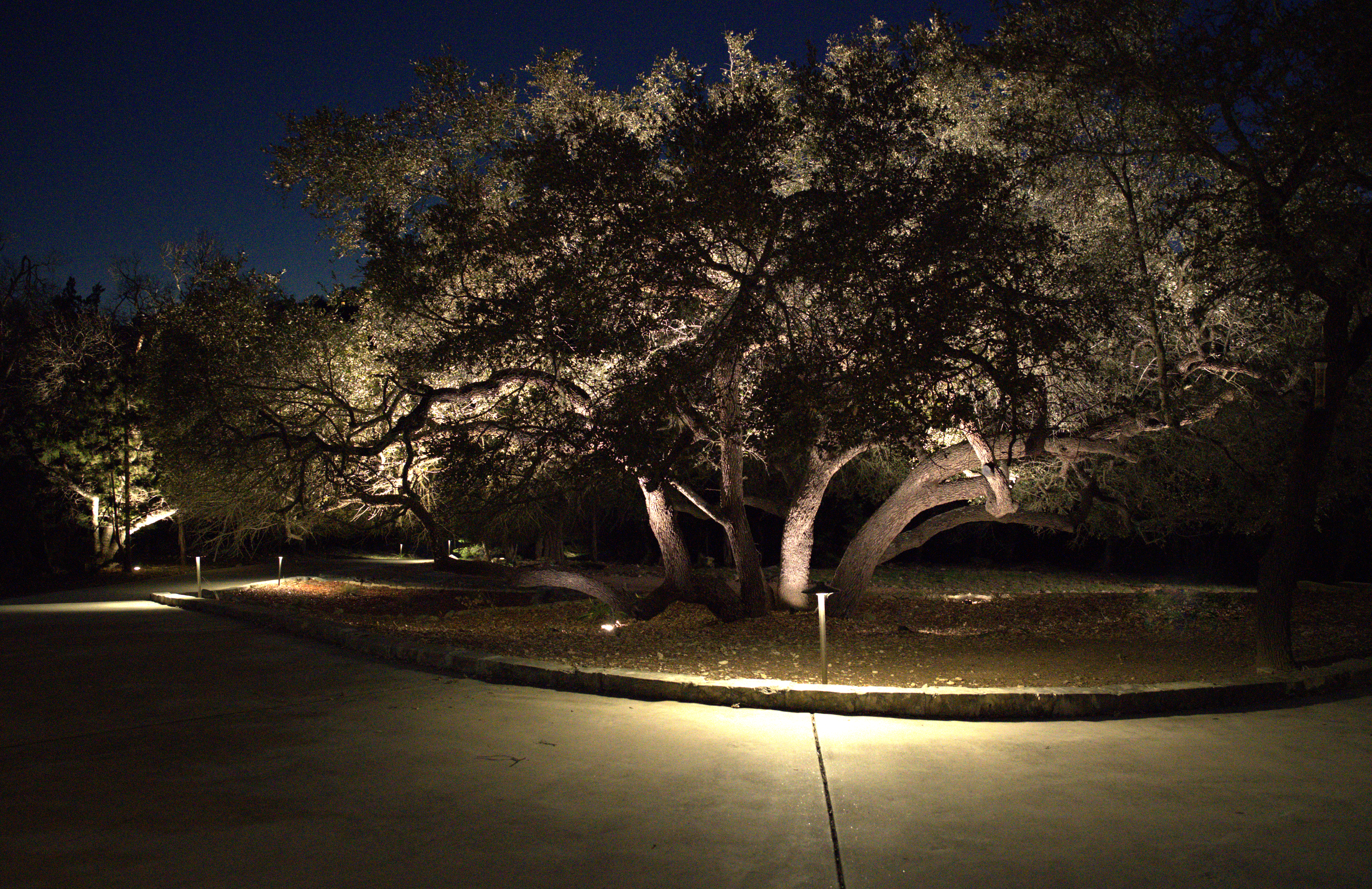Landscape Lighting Installation in San Antonio, TX