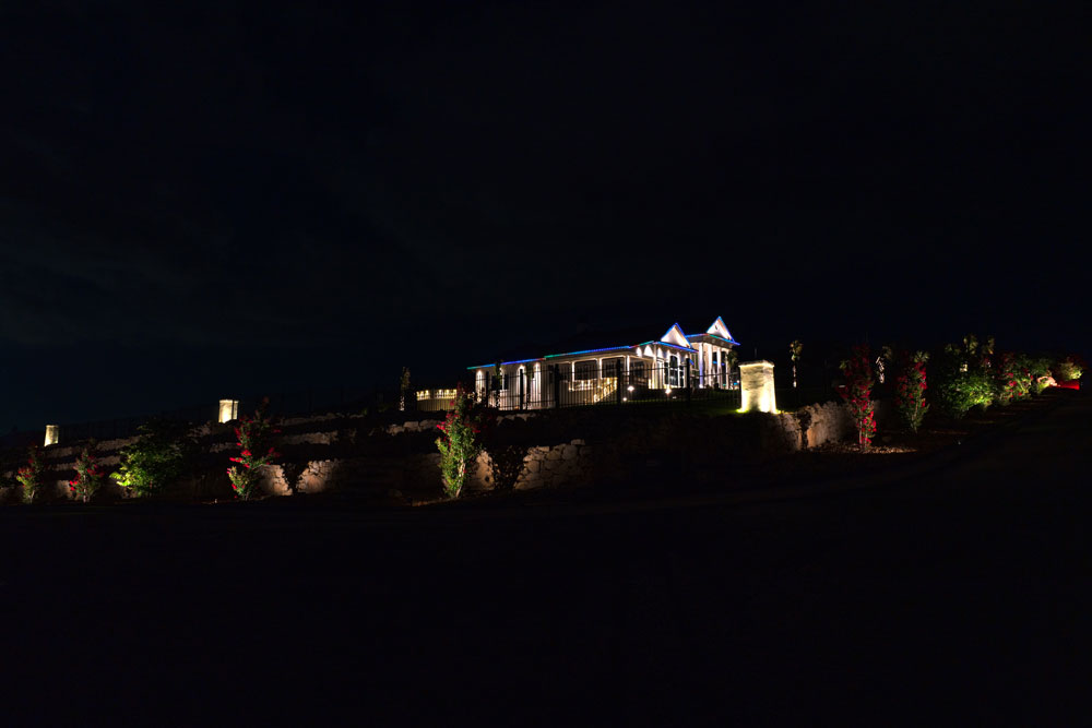 Professional Landscape Lighting