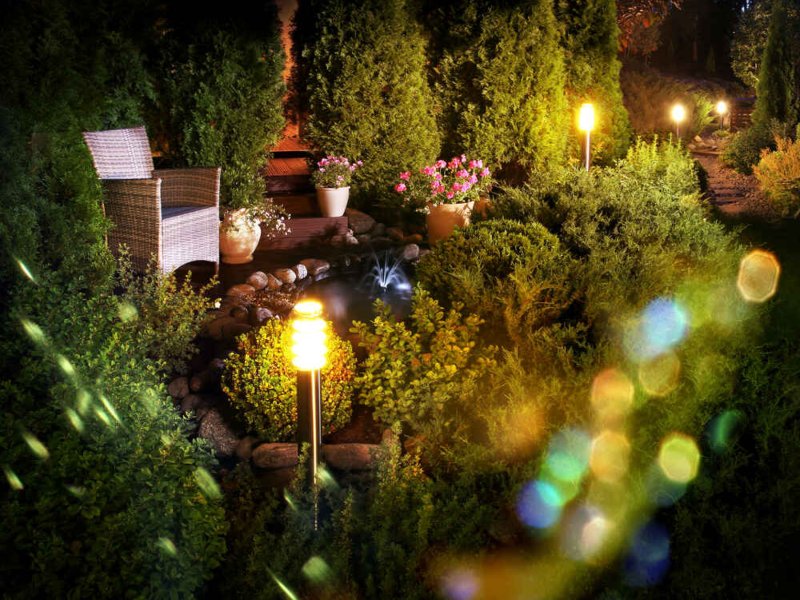 Why Every Home Needs Professional Landscape Lighting - blog